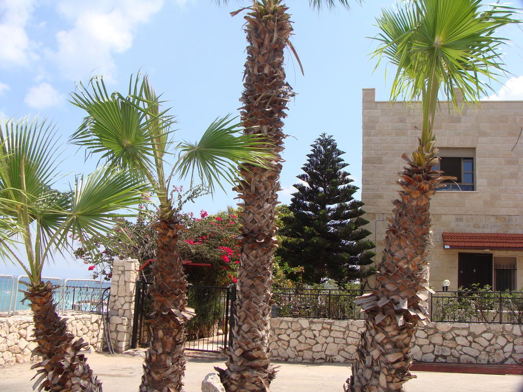 Tamer Guest House Haifa Exterior foto